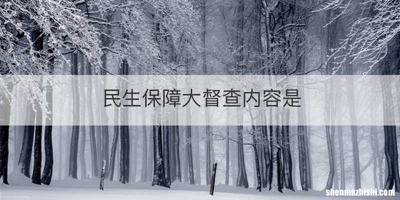 民生保障大督查内容是