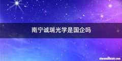 南宁诚瑞光学是国企吗