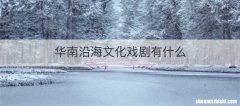 华南沿海文化戏剧有什么