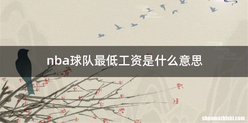 nba球队最低工资是什么意思