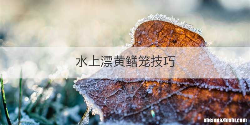 水上漂黄鳝笼技巧