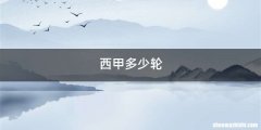 西甲多少轮
