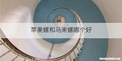 苹果螺和马来螺哪个好