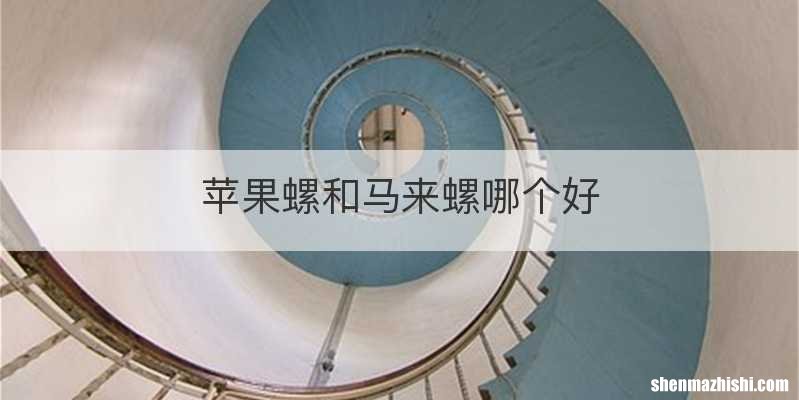 苹果螺和马来螺哪个好