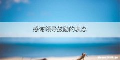感谢领导鼓励的表态