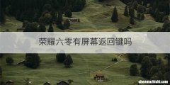 荣耀六零有屏幕返回键吗