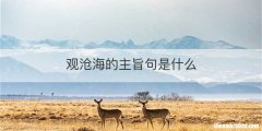 观沧海的主旨句是什么