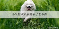 小米指纹锁钥匙丢了怎么办