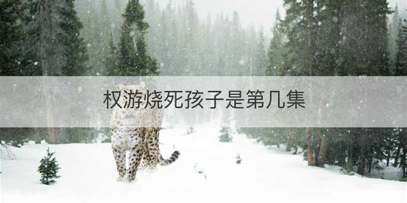 权游烧死孩子是第几集