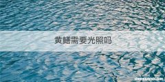 黄鳝需要光照吗