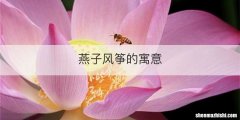 燕子风筝的寓意
