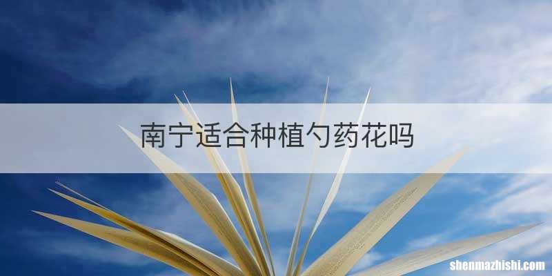 南宁适合种植勺药花吗