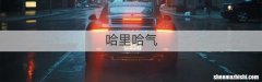 哈里哈气