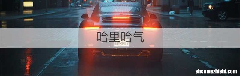 哈里哈气