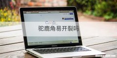 驼鹿角易开裂吗