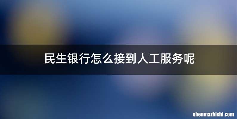 民生银行怎么接到人工服务呢