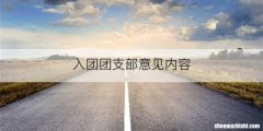 入团团支部意见内容