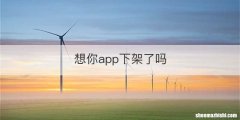 想你app下架了吗