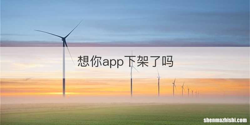 想你app下架了吗