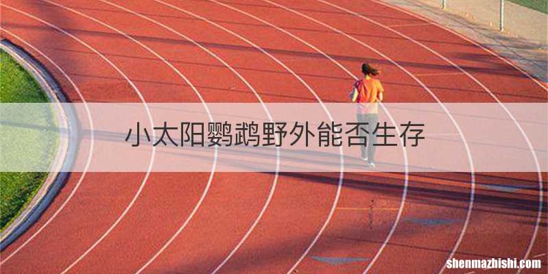 小太阳鹦鹉野外能否生存
