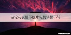 波轮洗衣机不脱水电机转桶不转