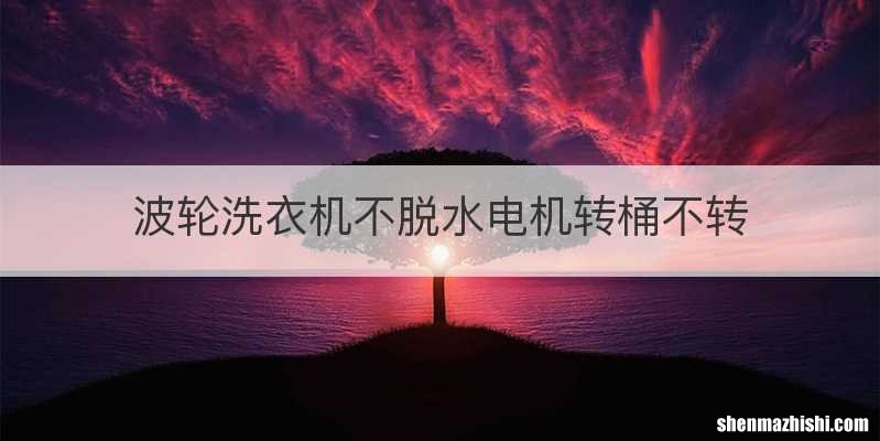 波轮洗衣机不脱水电机转桶不转