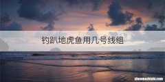 钓趴地虎鱼用几号线组