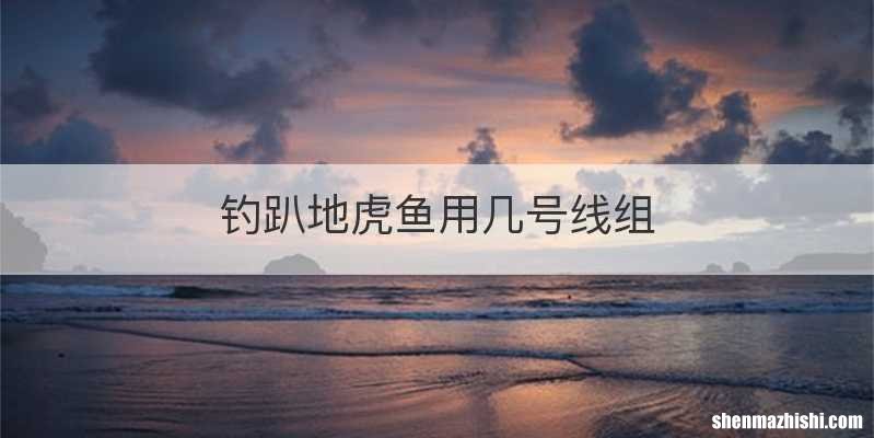 钓趴地虎鱼用几号线组