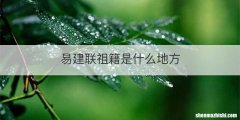 易建联祖籍是什么地方