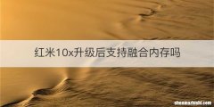 红米10x升级后支持融合内存吗