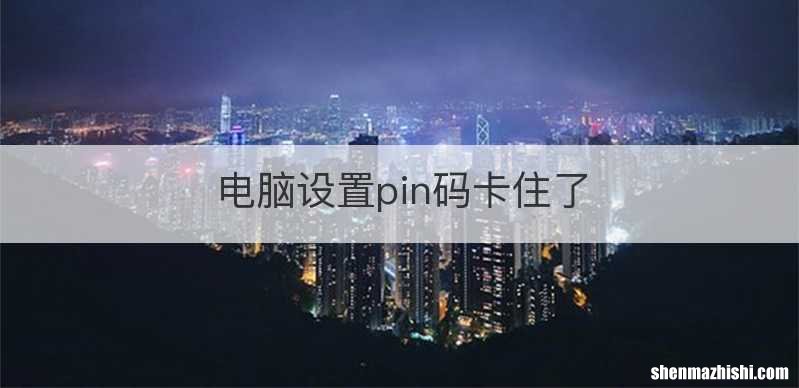 电脑设置pin码卡住了
