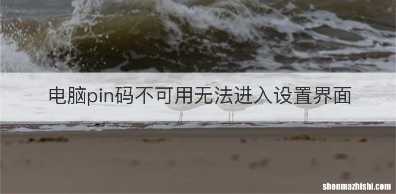 电脑pin码不可用无法进入设置界面