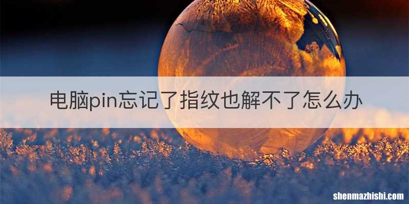 电脑pin忘记了指纹也解不了怎么办