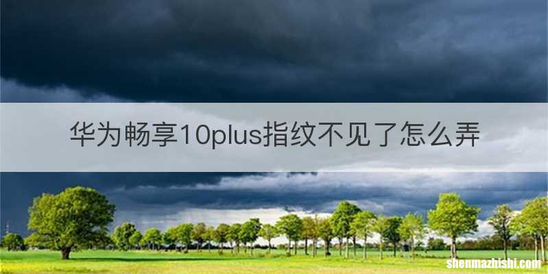 华为畅享10plus指纹不见了怎么弄
