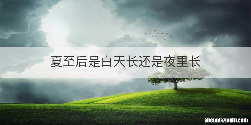 夏至后是白天长还是夜里长