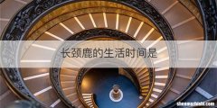 长颈鹿的生活时间是