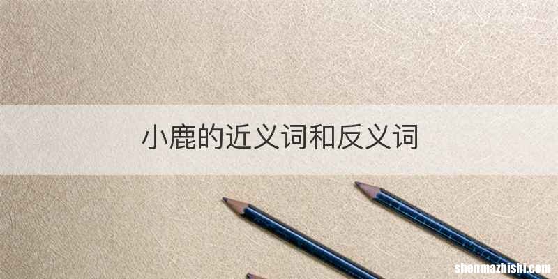 小鹿的近义词和反义词