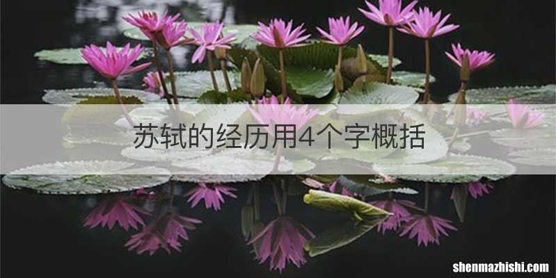苏轼的经历用4个字概括