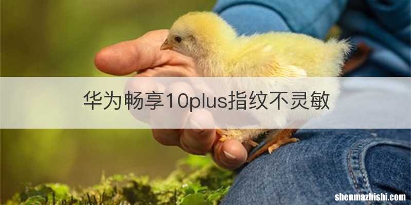 华为畅享10plus指纹不灵敏