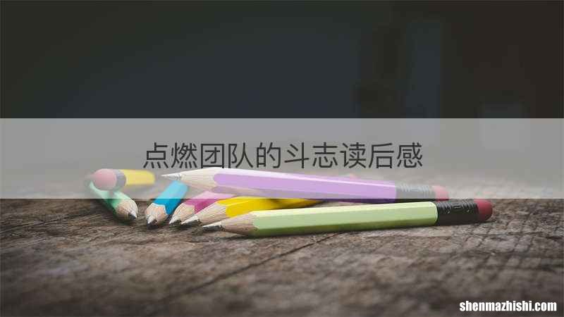 点燃团队的斗志读后感
