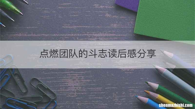 点燃团队的斗志读后感分享