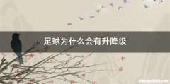 足球为什么会有升降级