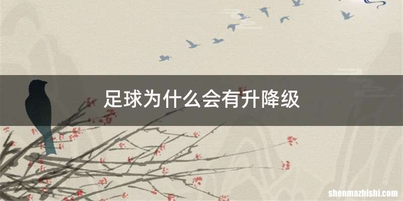 足球为什么会有升降级