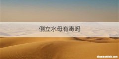 倒立水母有毒吗