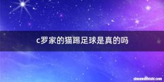 c罗家的猫踢足球是真的吗
