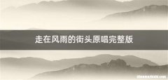 走在风雨的街头原唱完整版