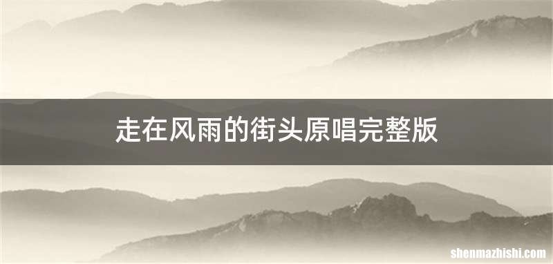 走在风雨的街头原唱完整版