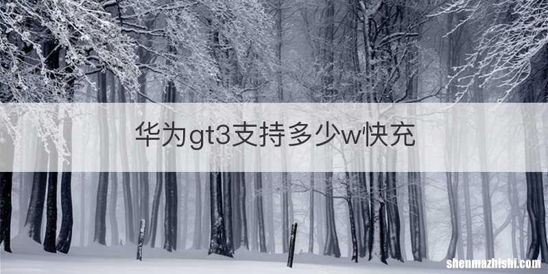 华为gt3支持多少w快充