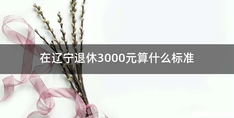 在辽宁退休3000元算什么标准