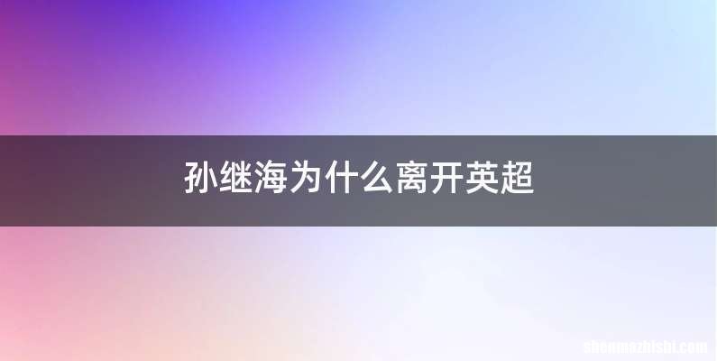 孙继海为什么离开英超